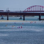 NKC_20160820-134350 (1280x853)
