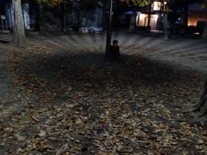 dsc02752-640x480