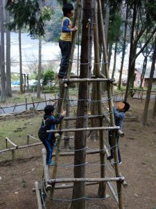 dsc02895-480x640