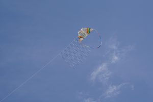 DSC00683