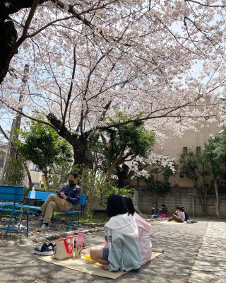 🌈
今日は今年度最後の日。
おとなり教会の桜が見頃です🌸

#お花見弁当 #春休み
#虹の子クラブ